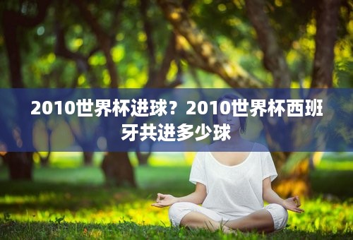 2010世界杯进球？2010世界杯西班牙共进多少球