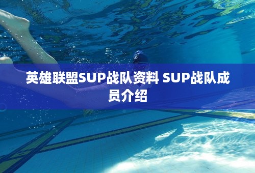 英雄联盟SUP战队资料 SUP战队成员介绍