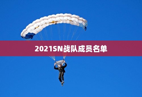 2021SN战队成员名单