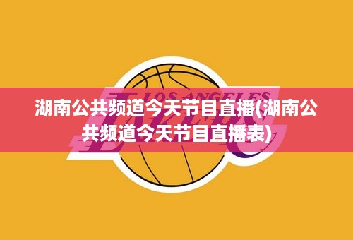 湖南公共频道今天节目直播(湖南公共频道今天节目直播表)