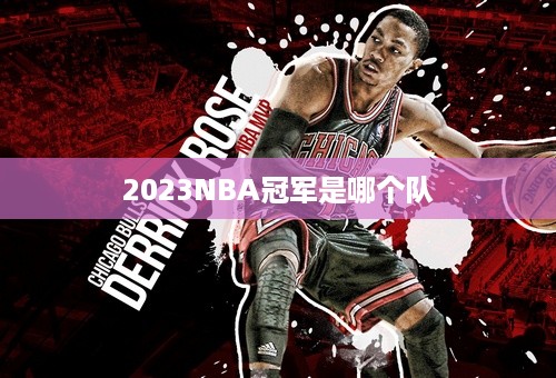 2023NBA冠军是哪个队