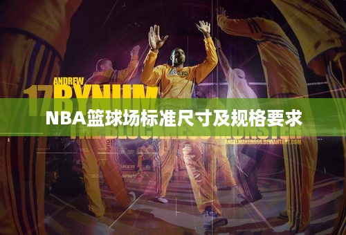 NBA篮球场标准尺寸及规格要求