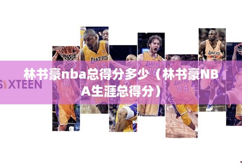 林书豪nba总得分多少（林书豪NBA生涯总得分）