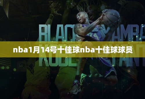 nba1月14号十佳球nba十佳球球员