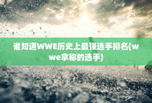 谁知道WWE历史上最强选手排名(wwe拿称的选手)