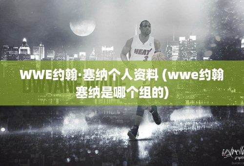 WWE约翰·塞纳个人资料 (wwe约翰塞纳是哪个组的)