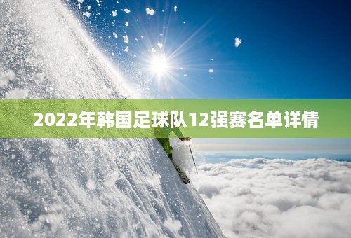 2022年韩国足球队12强赛名单详情