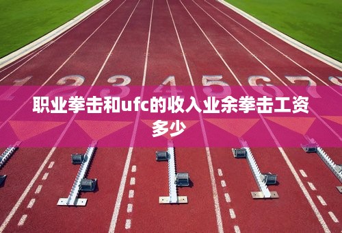 职业拳击和ufc的收入业余拳击工资多少 