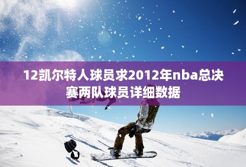 12凯尔特人球员求2012年nba总决赛两队球员详细数据