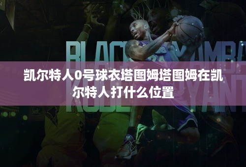 凯尔特人0号球衣塔图姆塔图姆在凯尔特人打什么位置