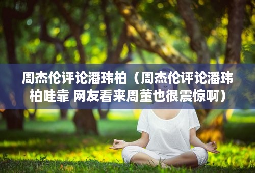 周杰伦评论潘玮柏（周杰伦评论潘玮柏哇靠 网友看来周董也很震惊啊）