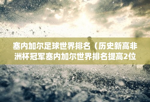 塞内加尔足球世界排名（历史新高非洲杯冠军塞内加尔世界排名提高2位）