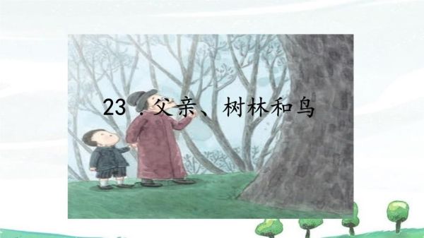 孩子要看父亲的鸟怎么办(儿子见过爸爸几几)