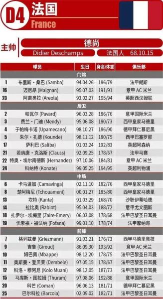 法国历届欧洲杯战绩(法国历届欧洲杯战绩图)