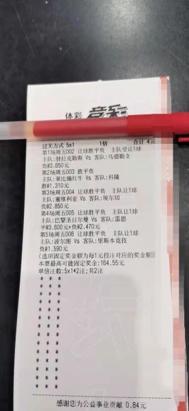 足球比分竞彩负其他是什么意思